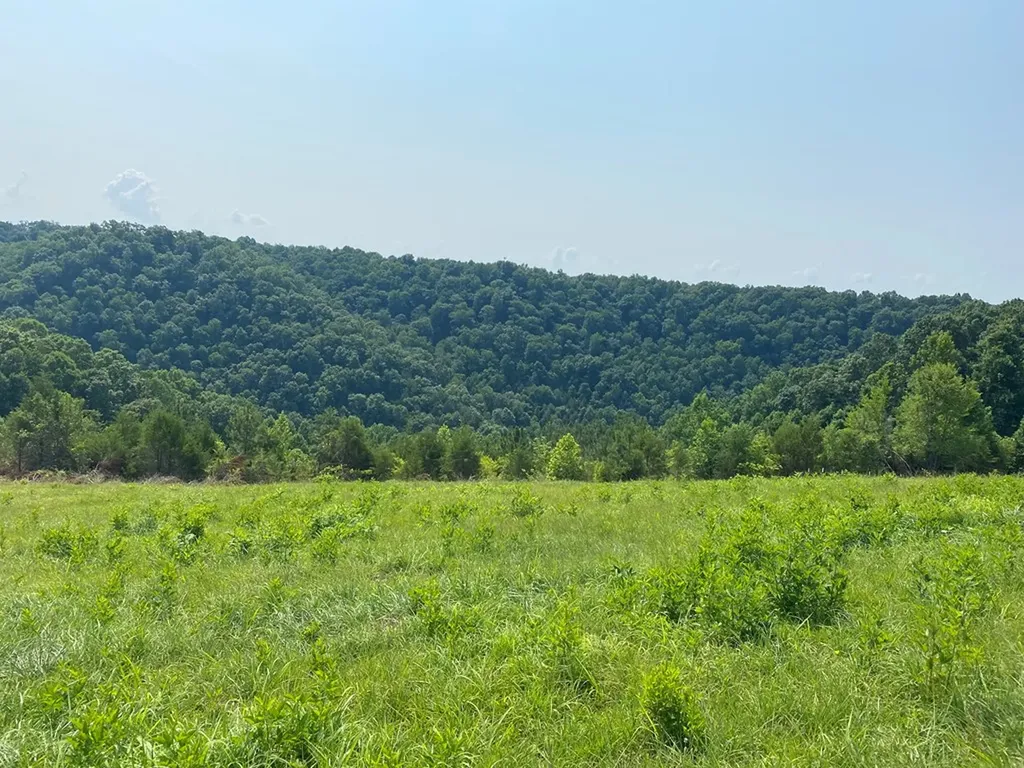Lot 11 H O Allison Baxter TN 38544