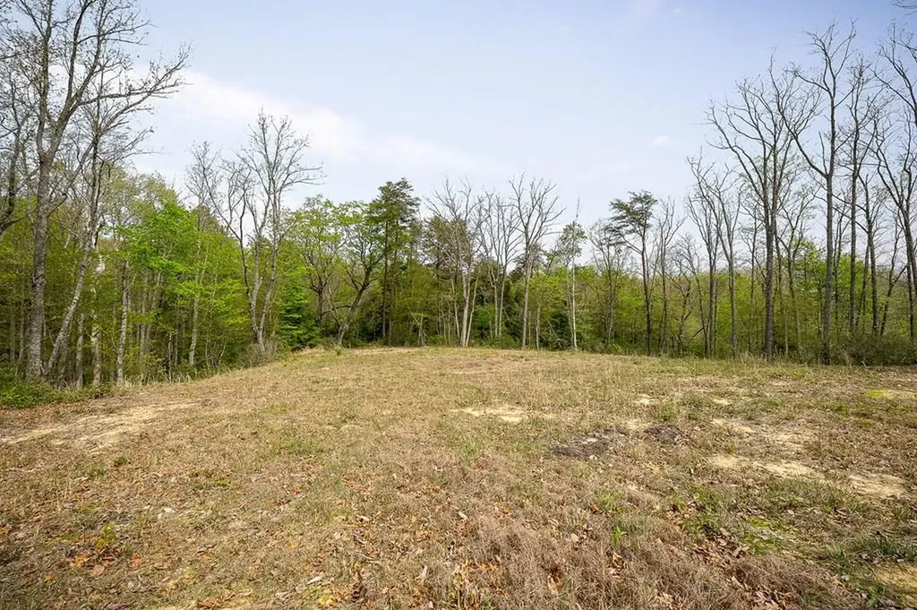 117 Fox Run Court Monterey TN 38574