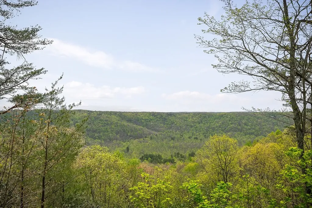 117 Fox Run Court Monterey TN 38574