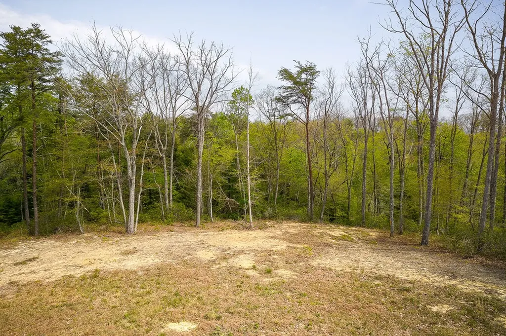 117 Fox Run Court Monterey TN 38574