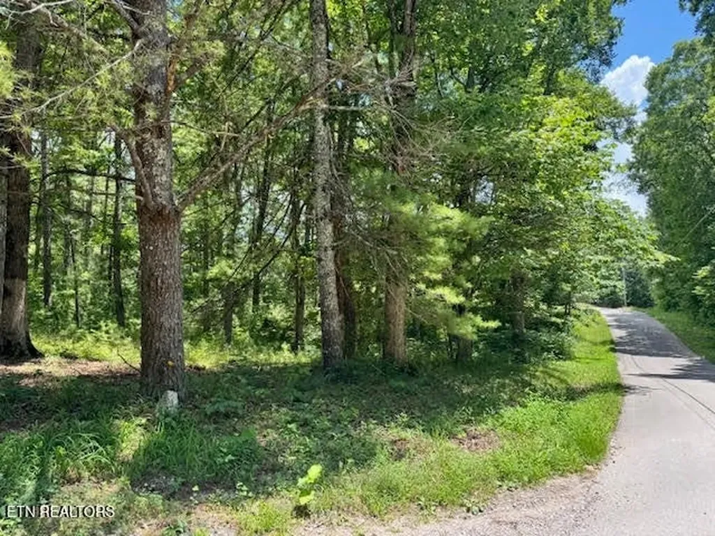 626 North Pointe Trail Allons TN 38541