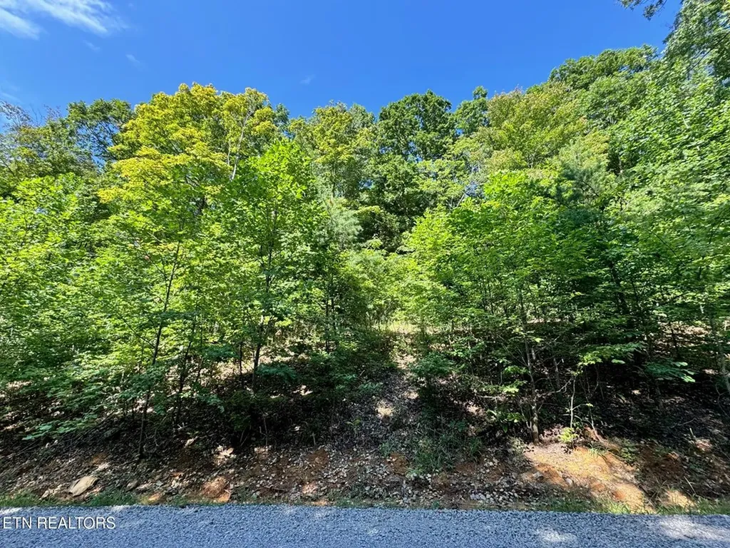 626 North Pointe Trail Allons TN 38541