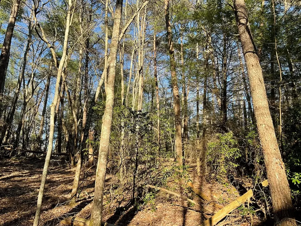 Tract 2 Pine Breeze Monterey TN 38574