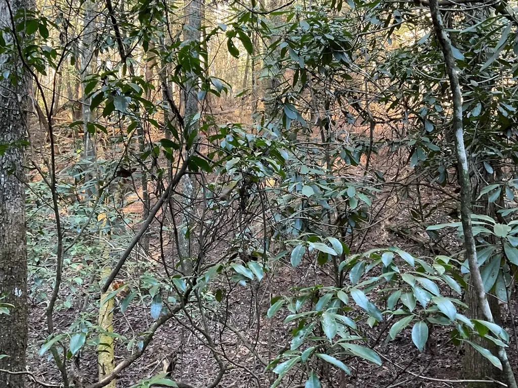 Tract 2 Pine Breeze Monterey TN 38574