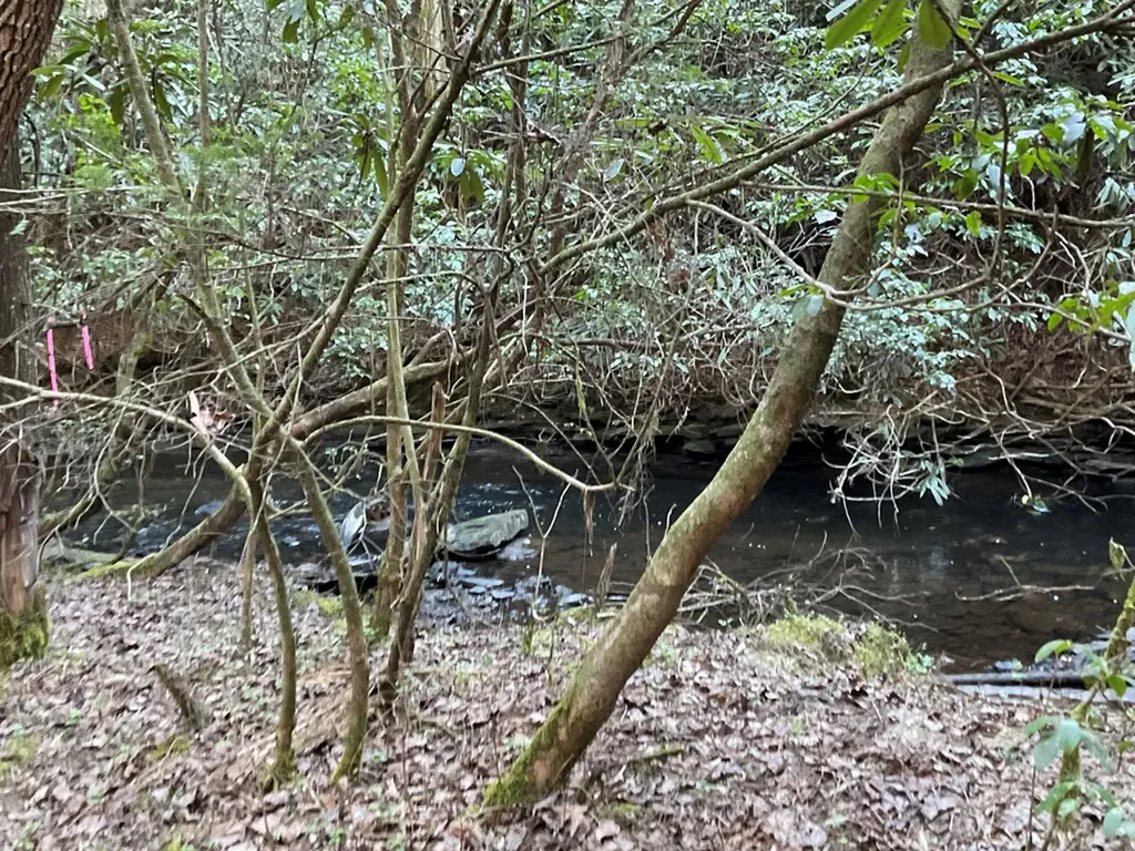 Tract 2 Pine Breeze Monterey TN 38574