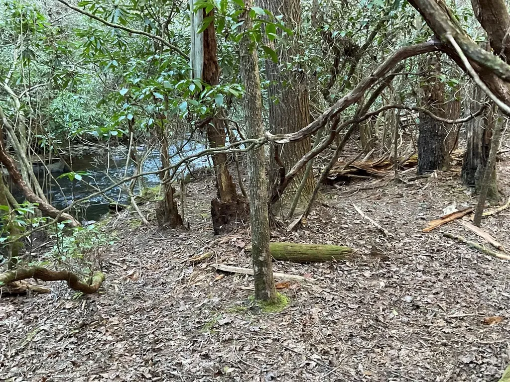 Tract 2 Pine Breeze Monterey TN 38574