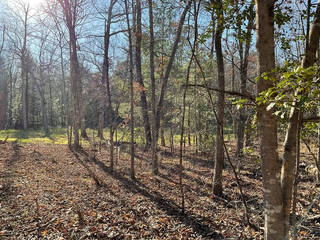 Tract 2 Pine Breeze Monterey TN 38574