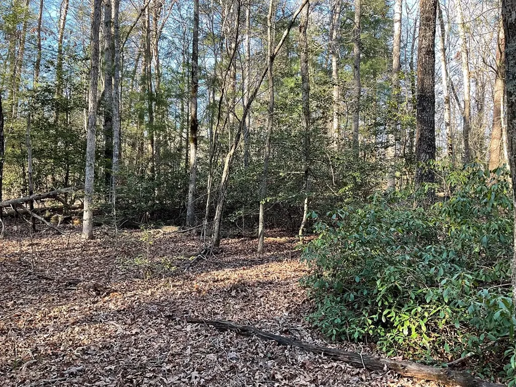 Tract 2 Pine Breeze Monterey TN 38574