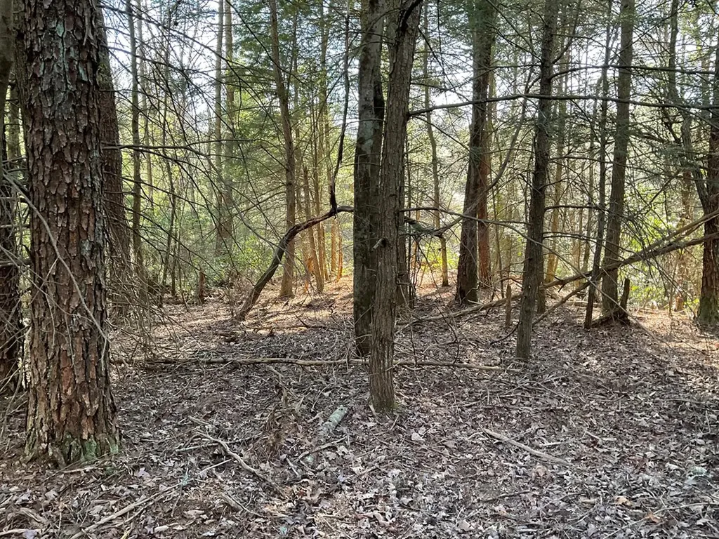 Tract 2 Pine Breeze Monterey TN 38574