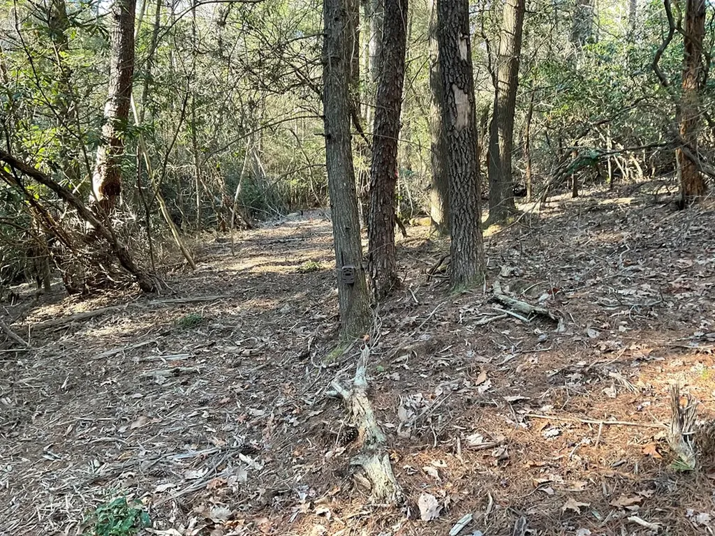 Tract 2 Pine Breeze Monterey TN 38574