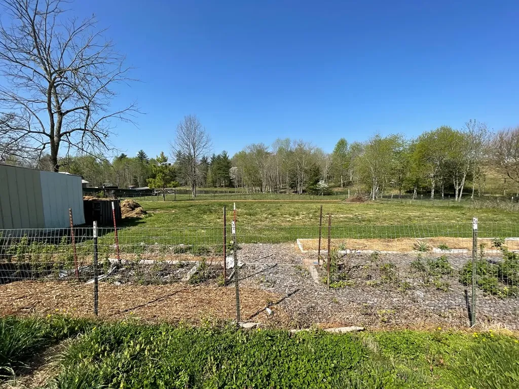 1951 Hall Road Clarkrange TN 38556