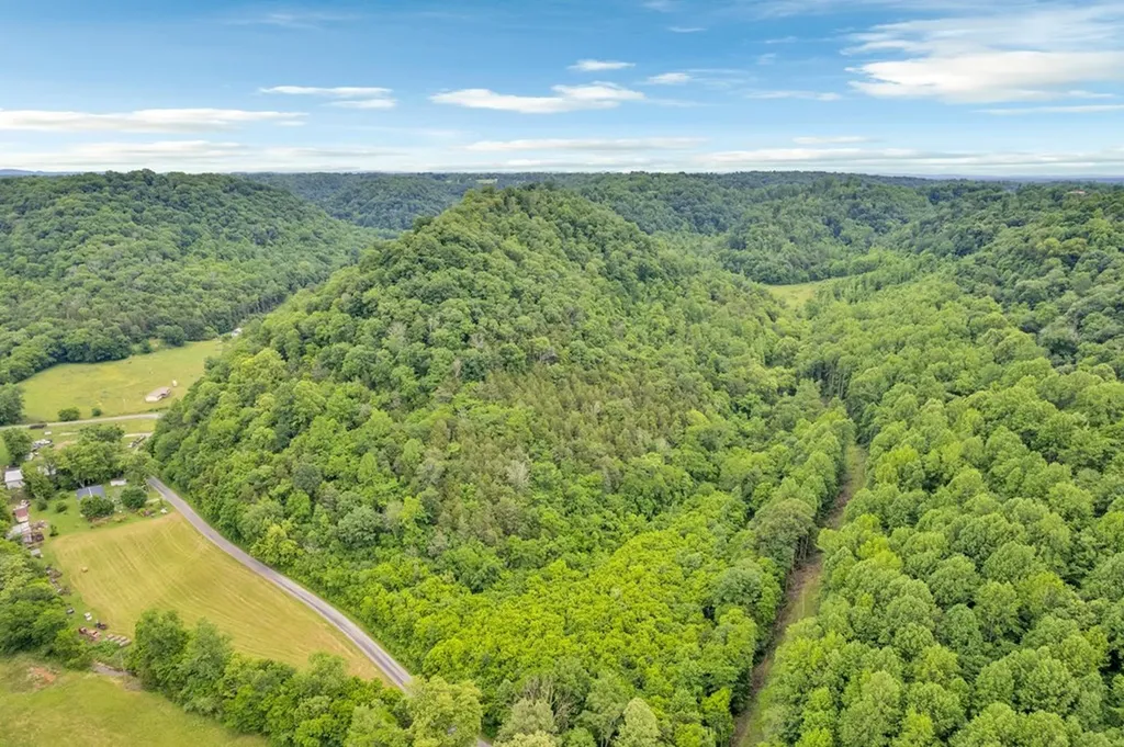 00 Hurricane Branch Lane Gainesboro TN 38562