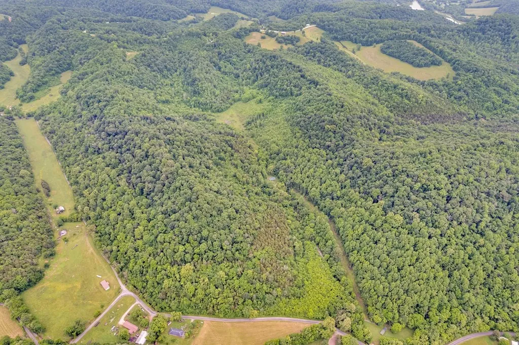 00 Hurricane Branch Lane Gainesboro TN 38562