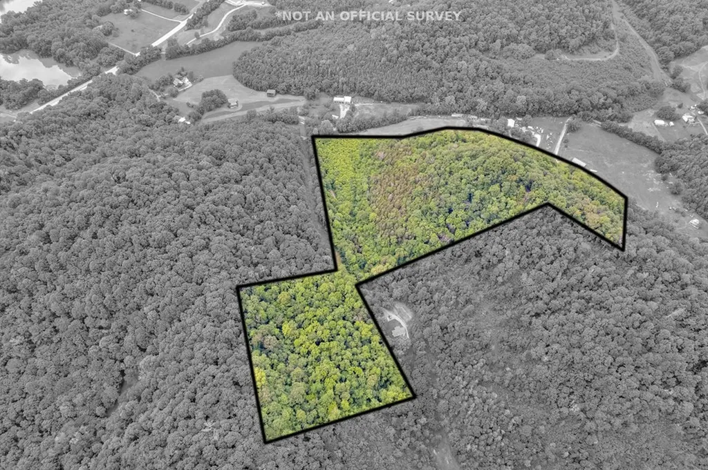 00 Hurricane Branch Lane Gainesboro TN 38562