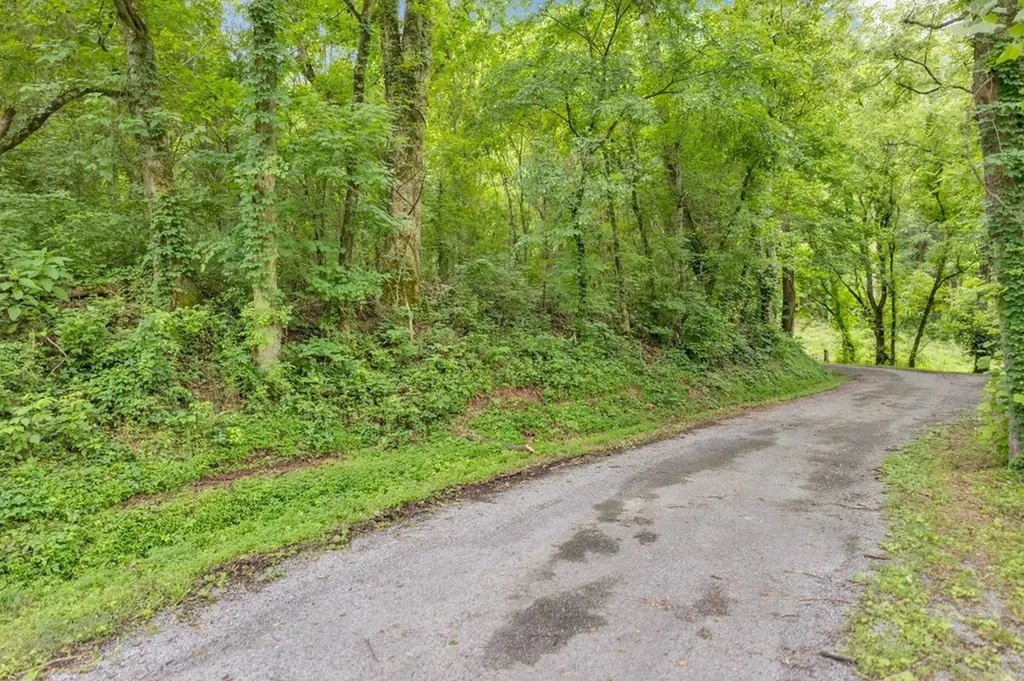 00 Hurricane Branch Lane Gainesboro TN 38562