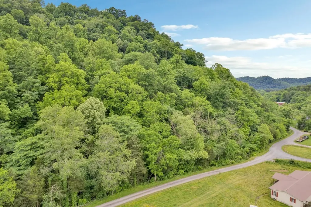 00 Hurricane Branch Lane Gainesboro TN 38562