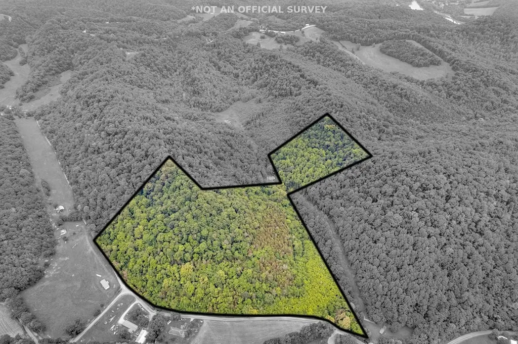 00 Hurricane Branch Lane Gainesboro TN 38562