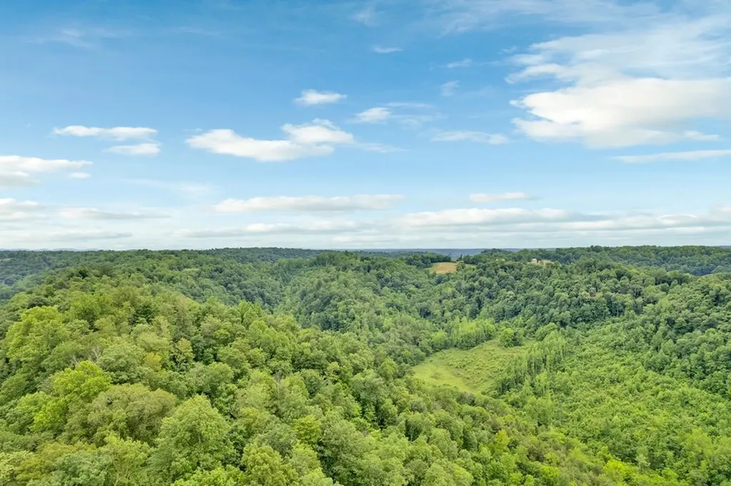 00 Hurricane Branch Lane Gainesboro TN 38562