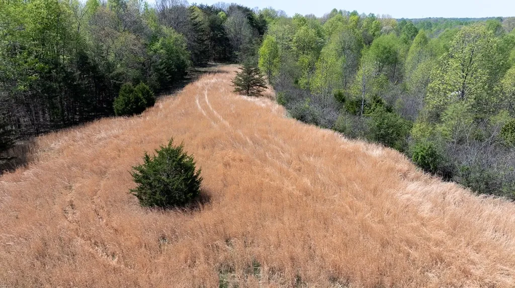 12.58 Ac Dodson Branch Highway Cookeville TN 38501