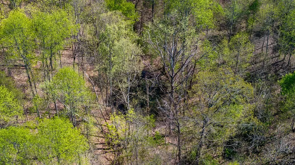 12.58 Ac Dodson Branch Highway Cookeville TN 38501