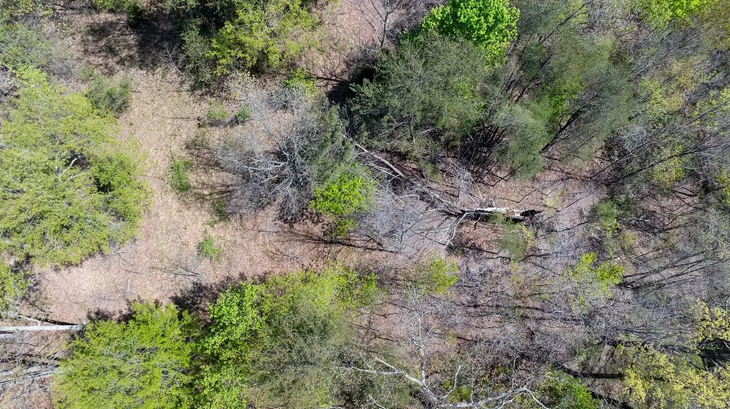 12.58 Ac Dodson Branch Highway Cookeville TN 38501