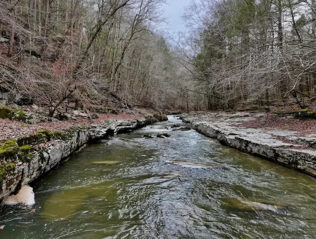 7.08AC Hollow Creek Lane Clarkrange TN 38553
