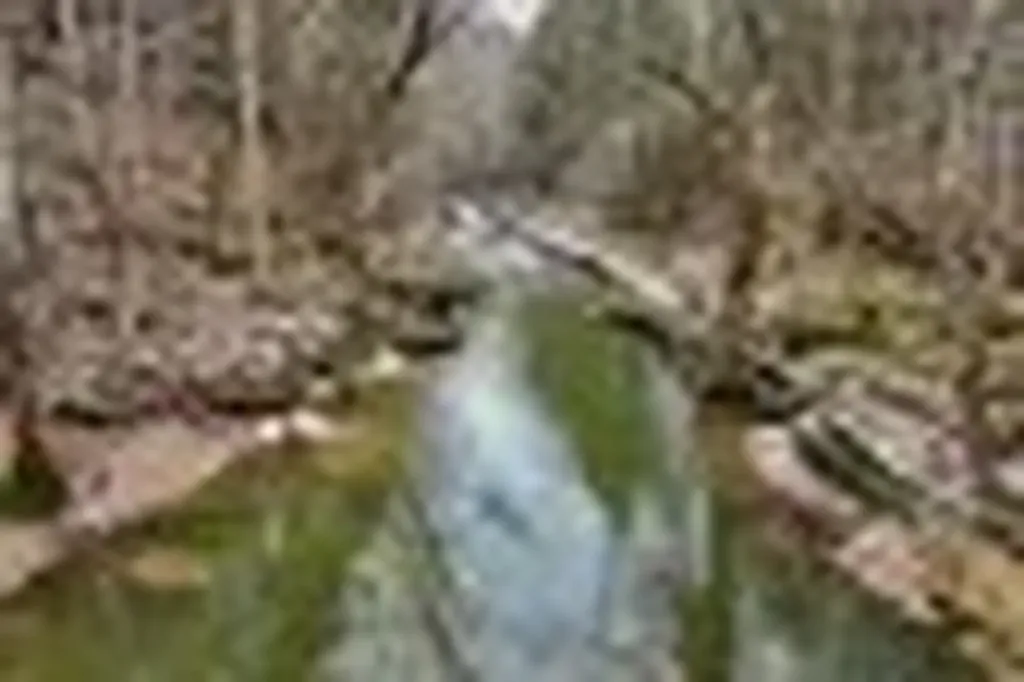 7.08AC Hollow Creek Lane Clarkrange TN 38553