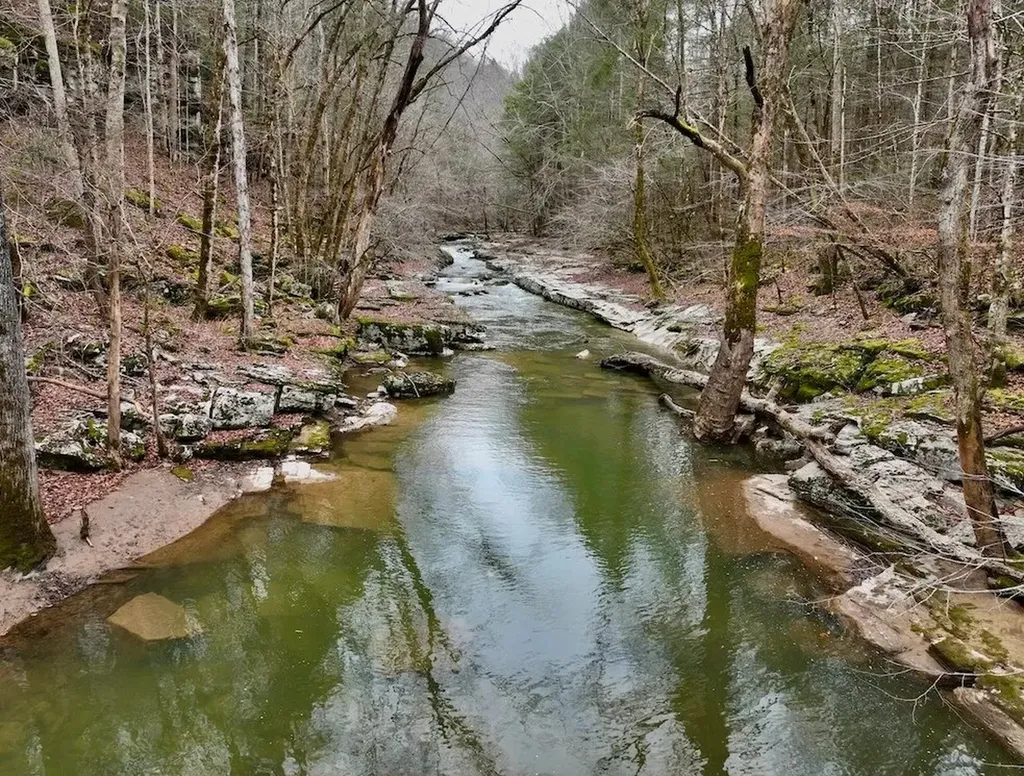 7.08AC Hollow Creek Lane Clarkrange TN 38553