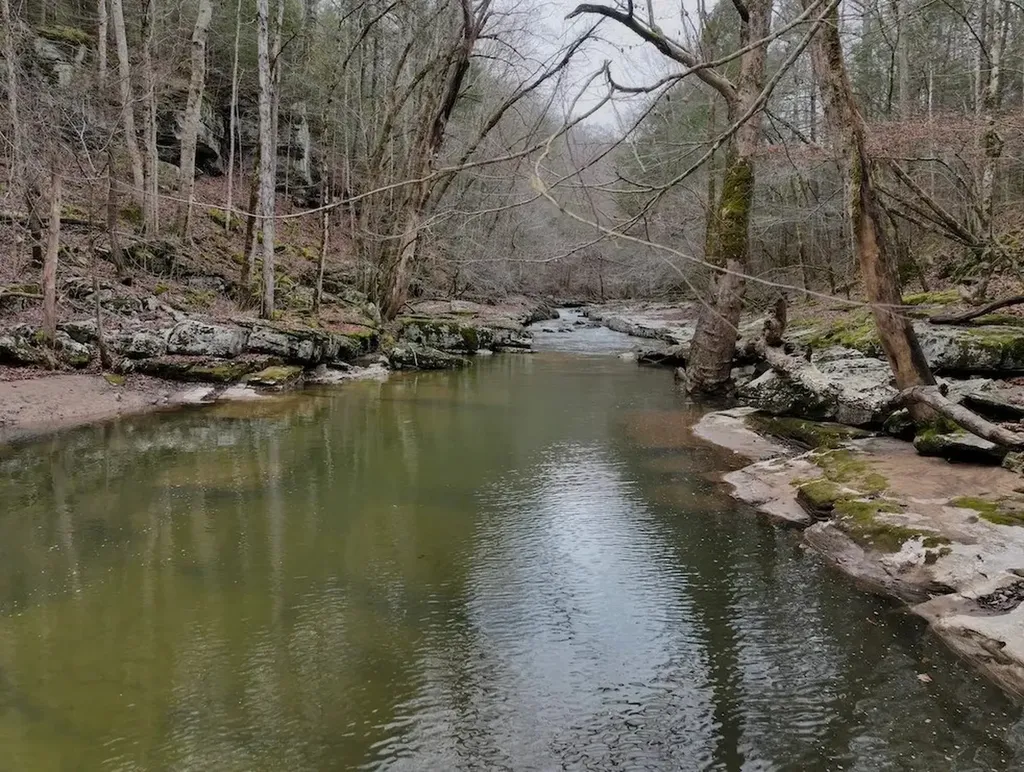 7.08AC Hollow Creek Lane Clarkrange TN 38553