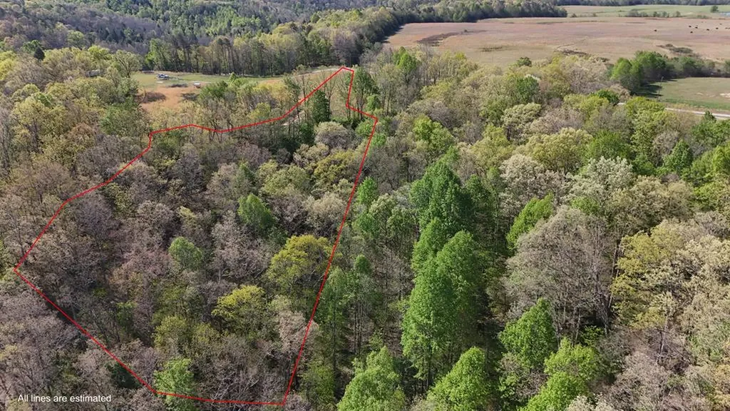 7.08AC Hollow Creek Lane Clarkrange TN 38553