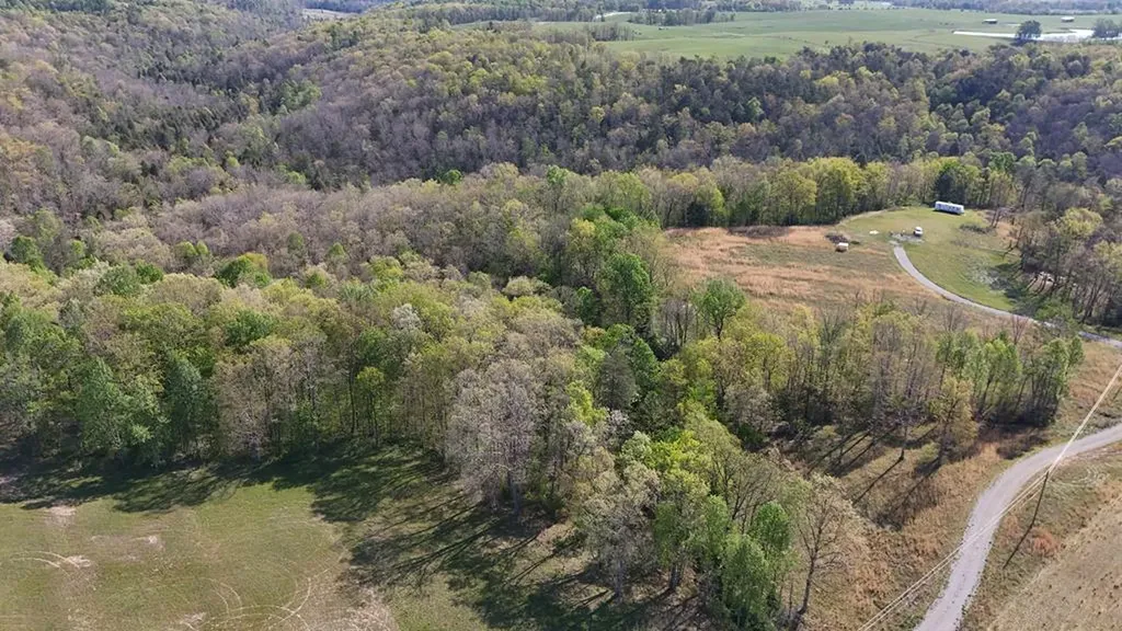 7.08AC Hollow Creek Lane Clarkrange TN 38553