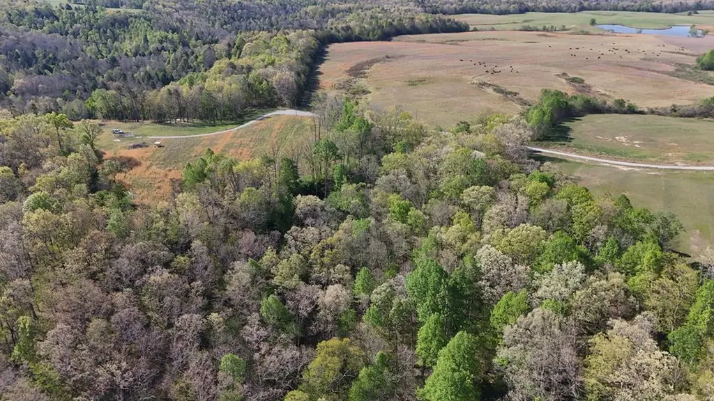 7.08AC Hollow Creek Lane Clarkrange TN 38553
