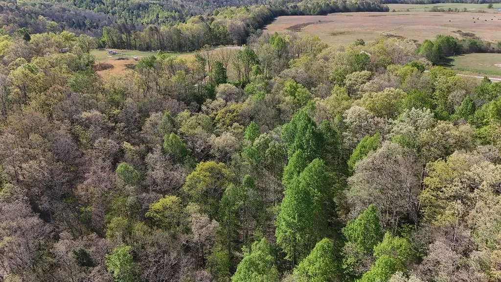 7.08AC Hollow Creek Lane Clarkrange TN 38553