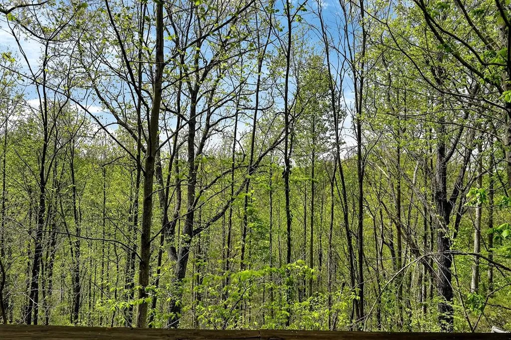 5175 Dale Ridge Road Liberty TN 37095