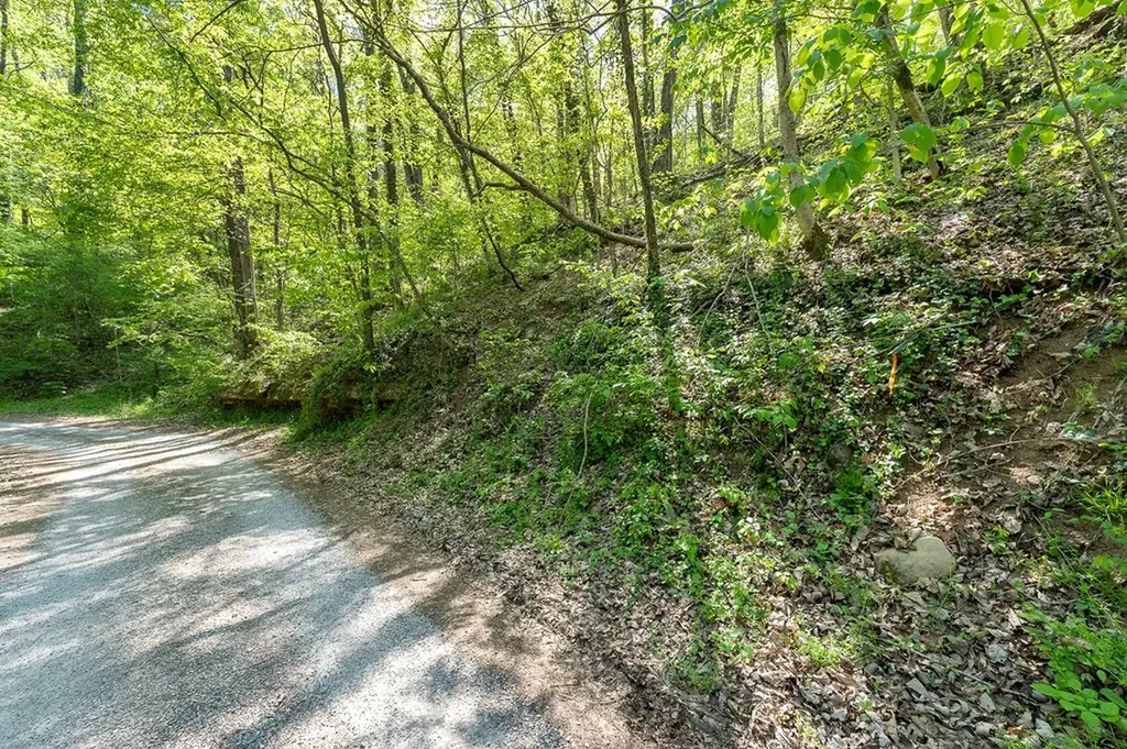 588 Austin Bottom Road Baxter TN 38583
