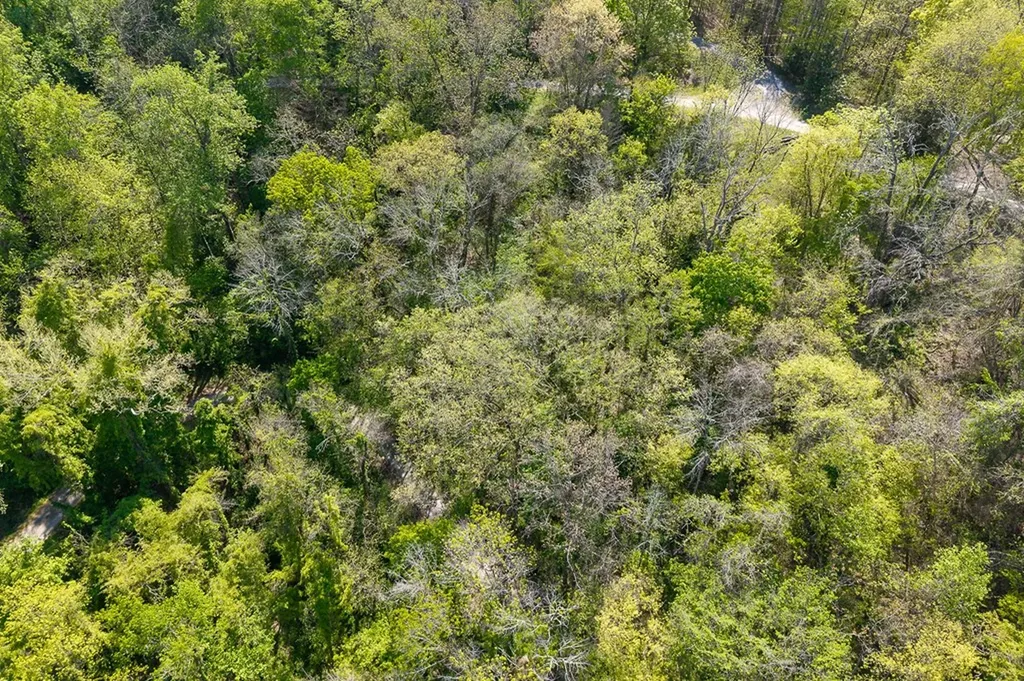 588 Austin Bottom Road Baxter TN 38583