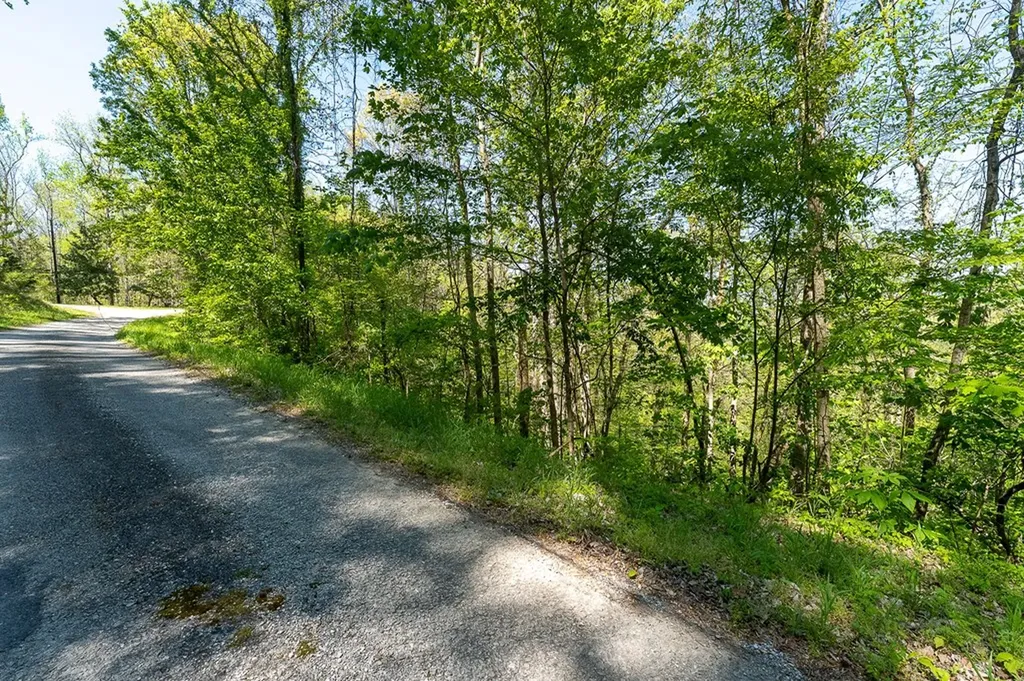 Lot 94 Austin Bottom Road Baxter TN 38544