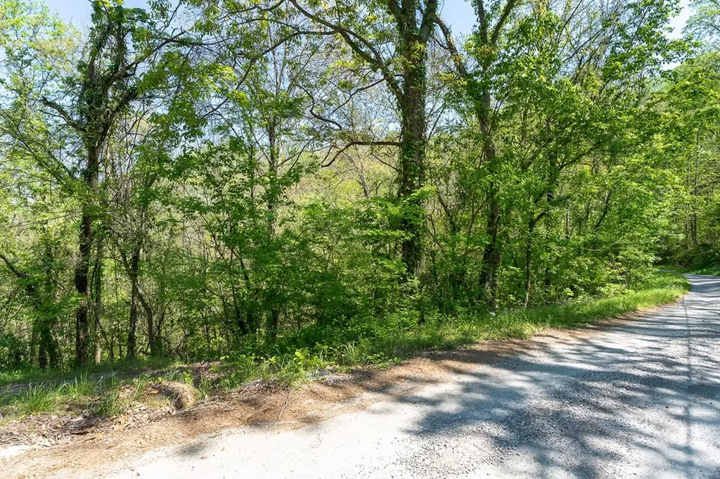Lot 94 Austin Bottom Road Baxter TN 38544