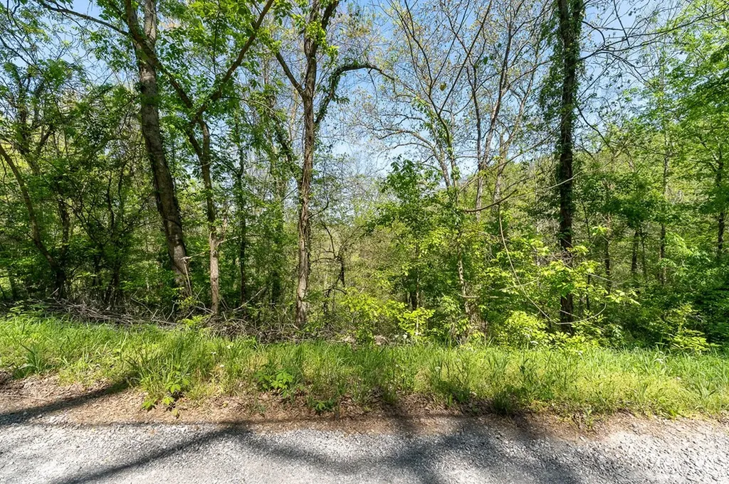Lot 94 Austin Bottom Road Baxter TN 38544