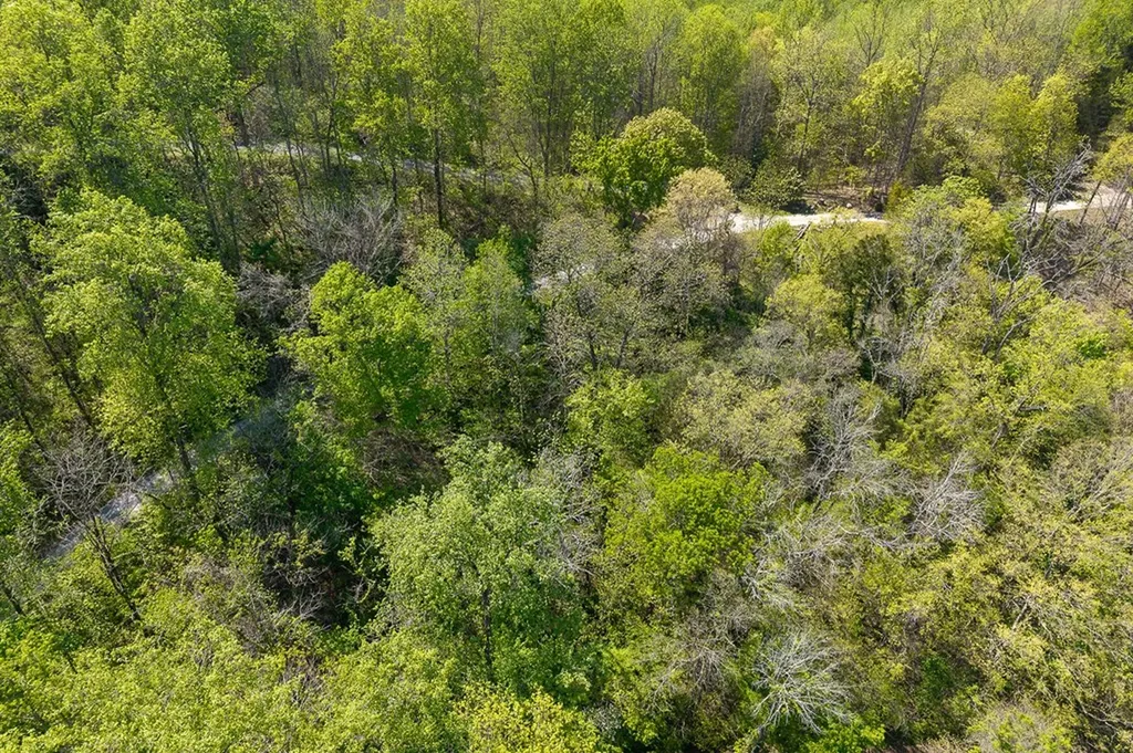 Lot 94 Austin Bottom Road Baxter TN 38544