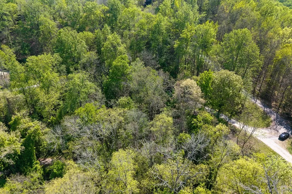 Lot 94 Austin Bottom Road Baxter TN 38544