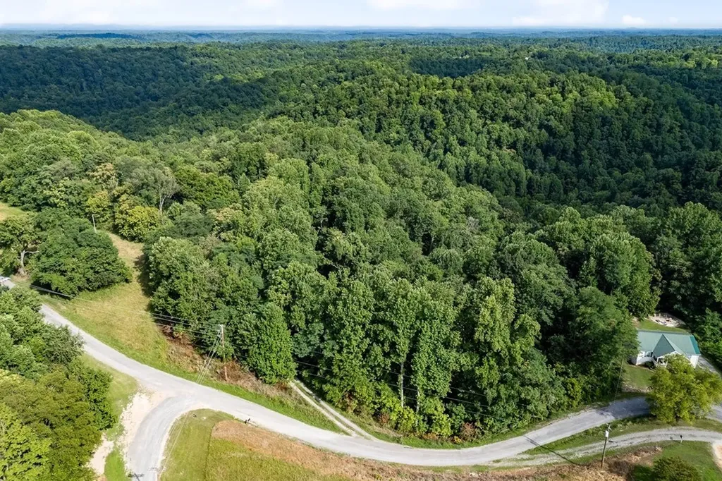 300 Poston Ridge Lane Gainesboro TN 38562