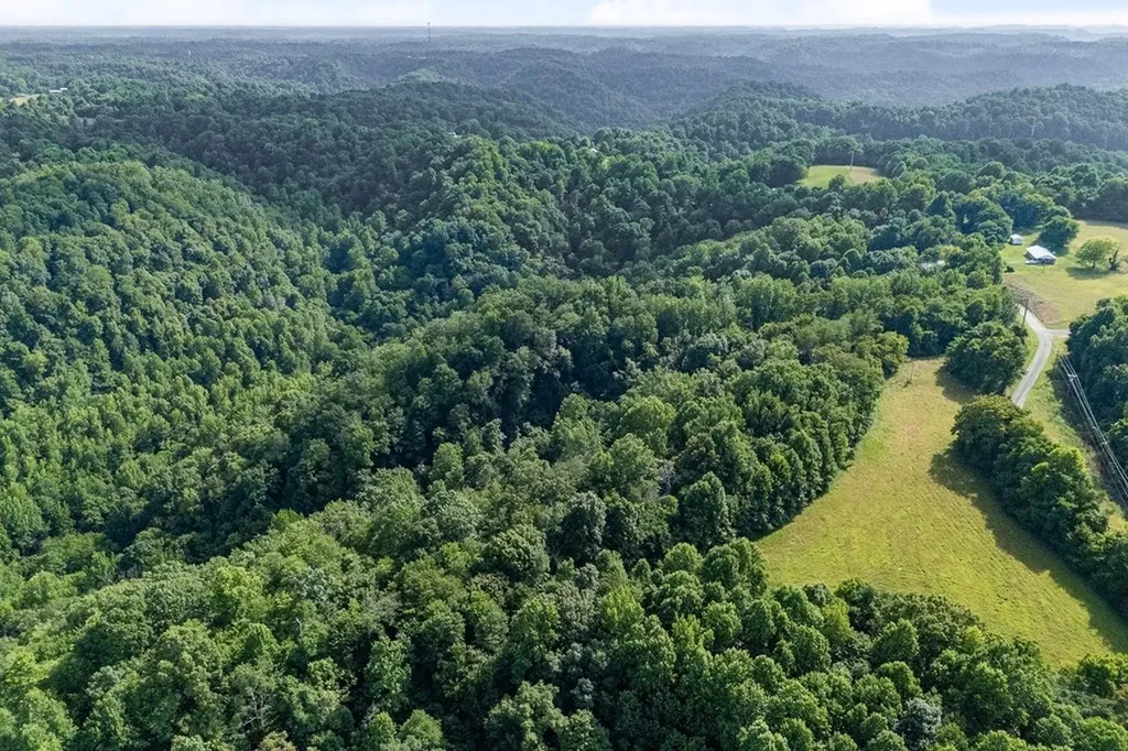 300 Poston Ridge Lane Gainesboro TN 38562