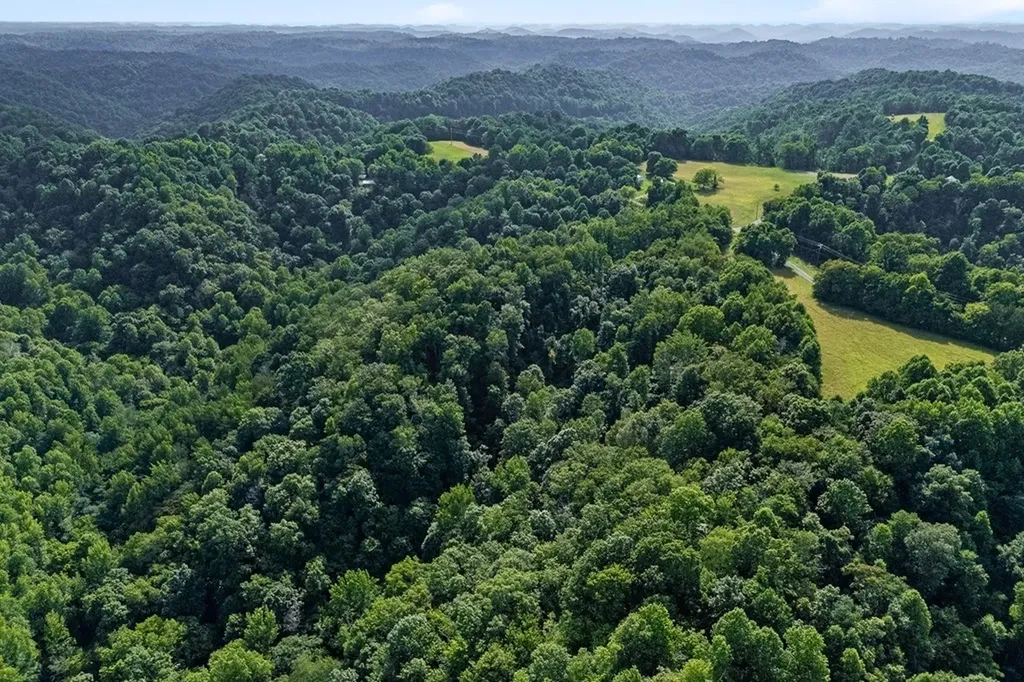 300 Poston Ridge Lane Gainesboro TN 38562