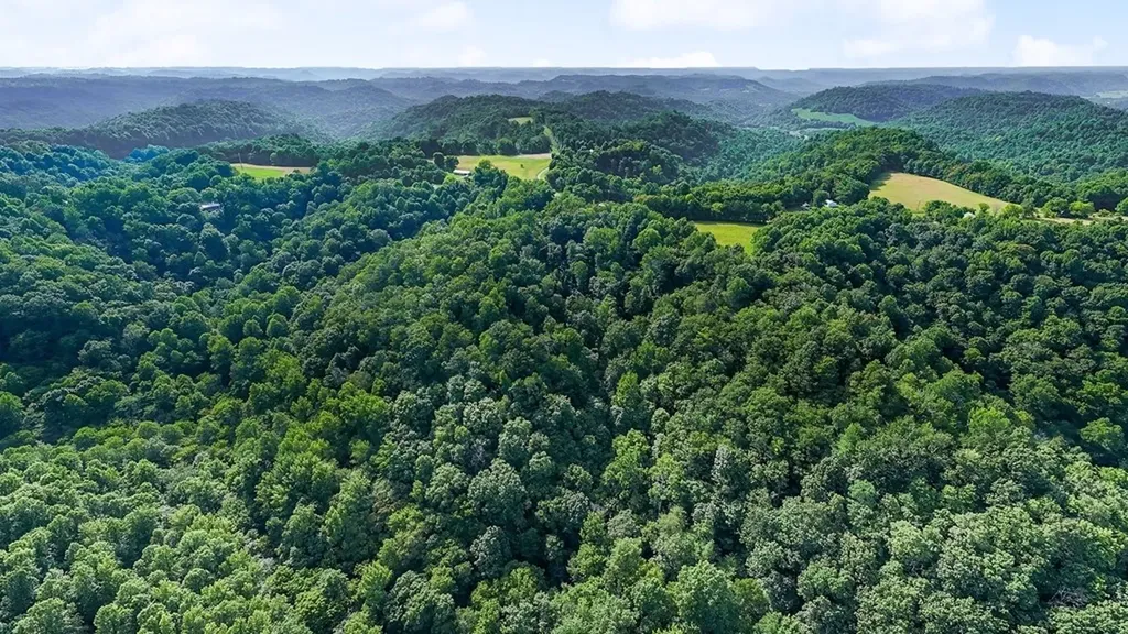 300 Poston Ridge Lane Gainesboro TN 38562