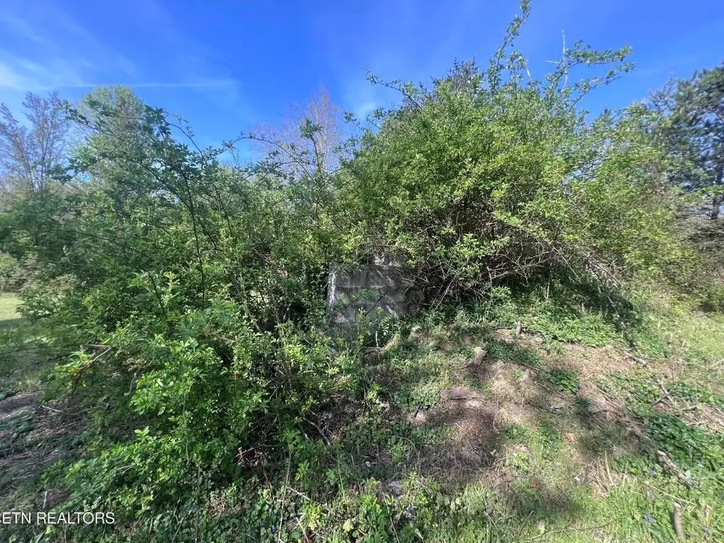 554 Mary Cromwell Road Jamestown TN 38556-5218
