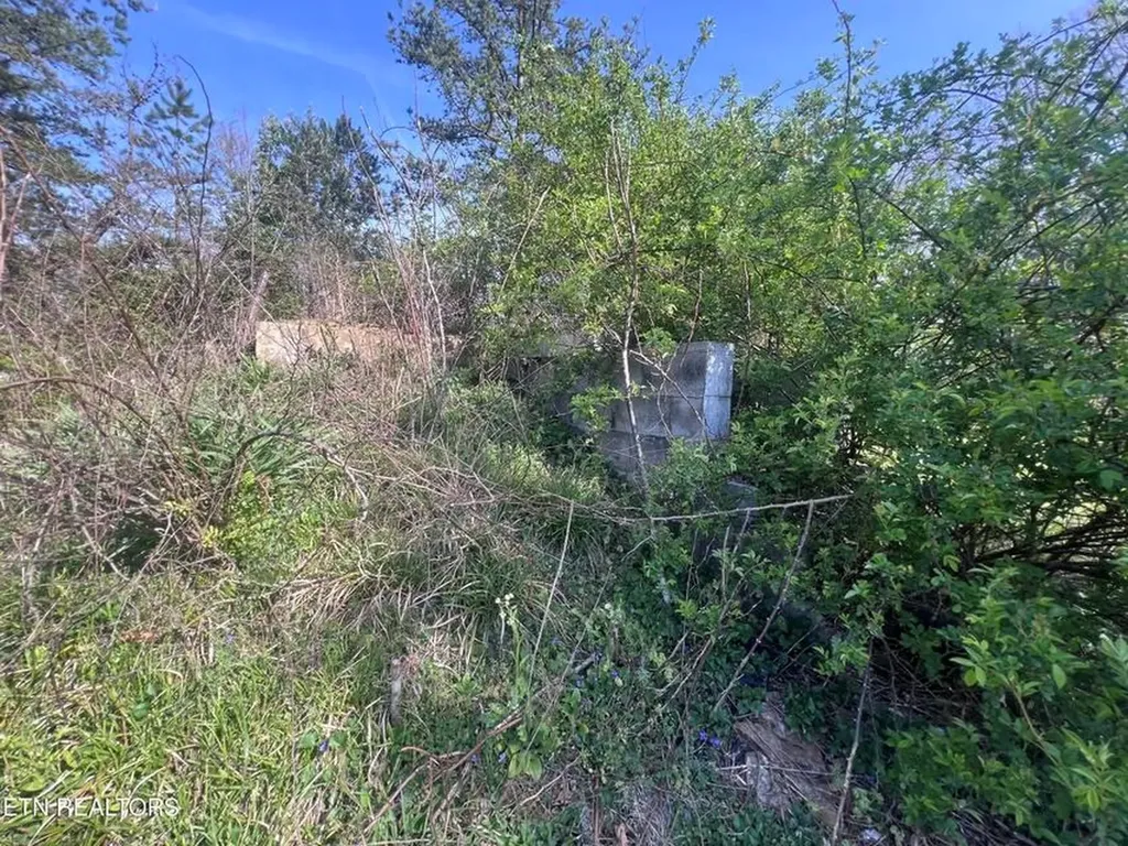 554 Mary Cromwell Road Jamestown TN 38556-5218