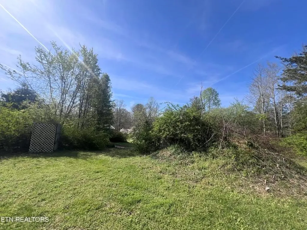 554 Mary Cromwell Road Jamestown TN 38556-5218
