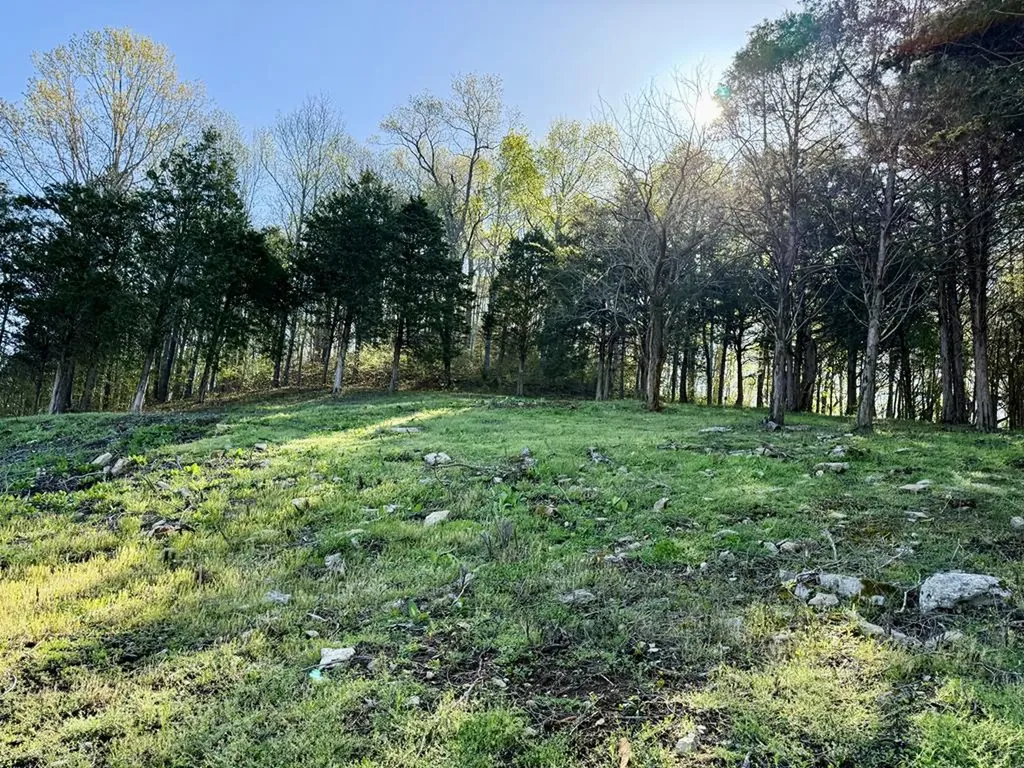 84 Harbor Pointe Drive Lot 84 Silver Point TN 38582