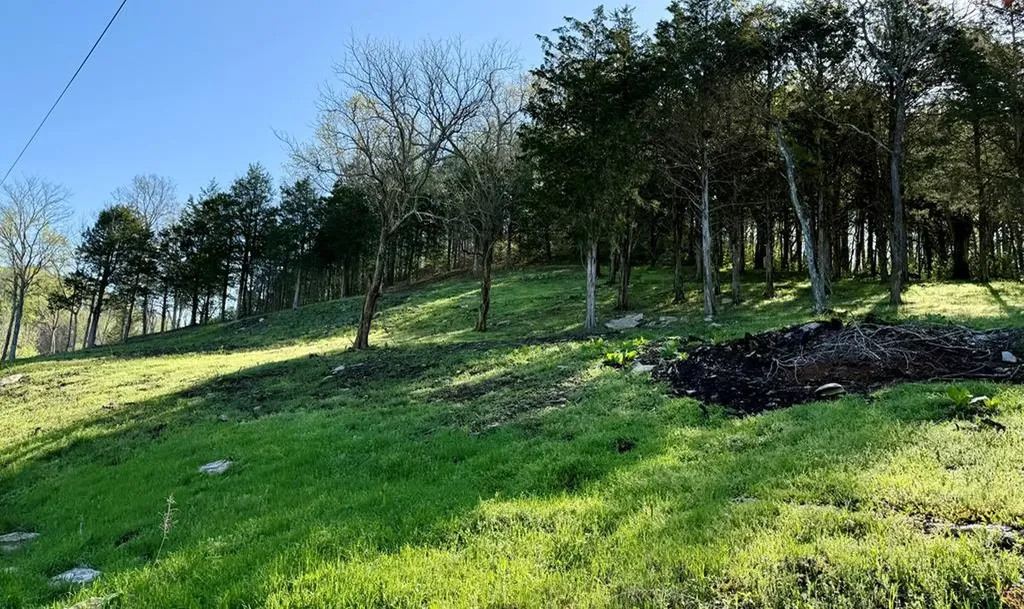 84 Harbor Pointe Drive Lot 84 Silver Point TN 38582